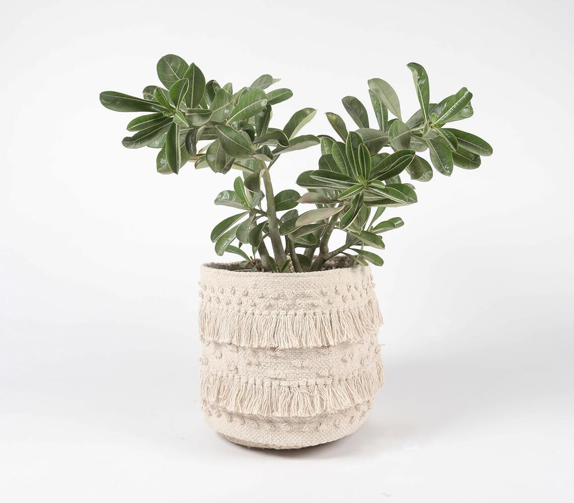 Tasseled & Textured Cotton & Jute Basket - GAAIA